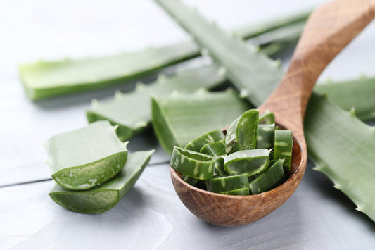 Aloe Vera: The Soothing Secret to Healthy Skin